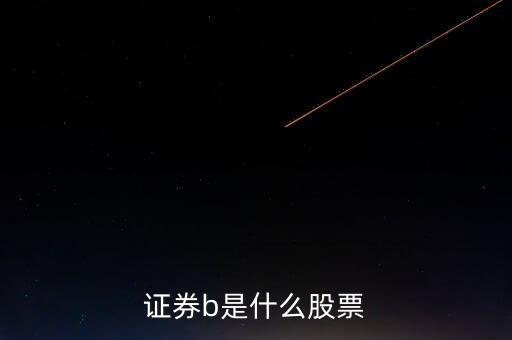 證券b是什么股票