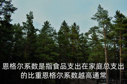 什么是恩格爾系數(shù)法，什么是恩戈爾系數(shù)