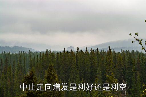 中止定向增發(fā)是利好還是利空