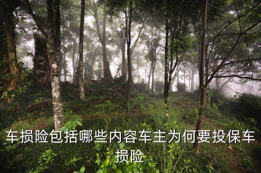 為什么車險虧損也要做，汽車保險為何是虧損大戶