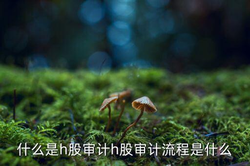 H股審計是什么意思，香港上市公司的審計與內(nèi)地審計有什么區(qū)別