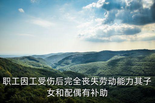 職工因工受傷后完全喪失勞動能力其子女和配偶有補助