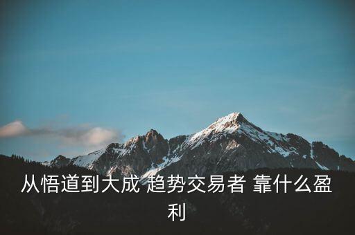 趨勢交易最難的是什么，從悟道到大成 趨勢交易者 靠什么盈利