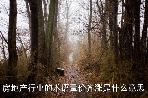 房地產(chǎn)行業(yè)的術(shù)語(yǔ)量?jī)r(jià)齊漲是什么意思