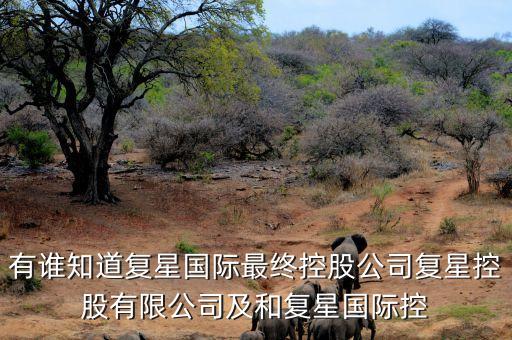 有誰(shuí)知道復(fù)星國(guó)際最終控股公司復(fù)星控股有限公司及和復(fù)星國(guó)際控