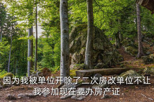 因?yàn)槲冶粏挝婚_(kāi)除了二次房改單位不讓我參加現(xiàn)在要辦房產(chǎn)證