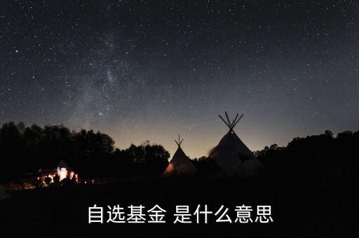 自選基金 是什么意思