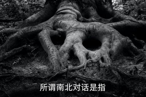 所謂南北對(duì)話是指