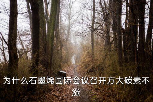 炭素與石墨烯是什么關(guān)系，石墨烯是有碳原子構(gòu)成的單層片狀的新材料可由石墨剝離而成具有