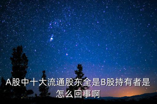 A股中十大流通股東全是B股持有者是怎么回事啊