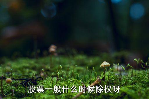 股票一般什么時候除權(quán)呀