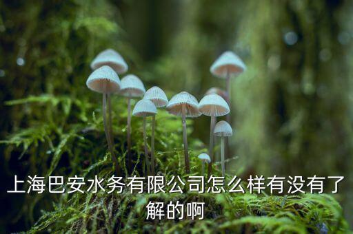 上海巴安水務(wù)有限公司怎么樣有沒有了解的啊