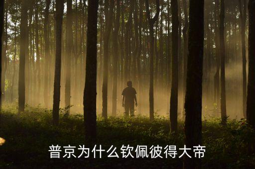 普京為什么支持阿薩德，阿薩德是什么意思啊