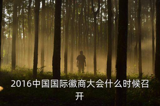 2016年中央開(kāi)的什么會(huì)，2016中國(guó)國(guó)際徽商大會(huì)什么時(shí)候召開(kāi)
