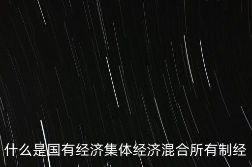什么是國有經(jīng)濟(jì)集體經(jīng)濟(jì)混合所有制經(jīng)
