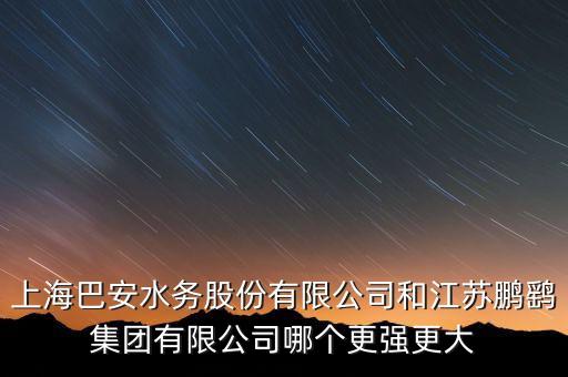 上海巴安是什么股，上海巴安水務股份有限公司和江蘇鵬鷂集團有限公司哪個更強更大