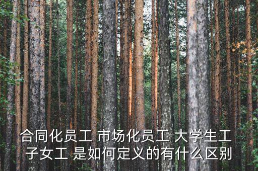 合同化員工 市場化員工 大學(xué)生工 子女工 是如何定義的有什么區(qū)別