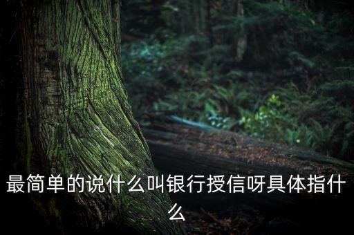 最簡(jiǎn)單的說(shuō)什么叫銀行授信呀具體指什么