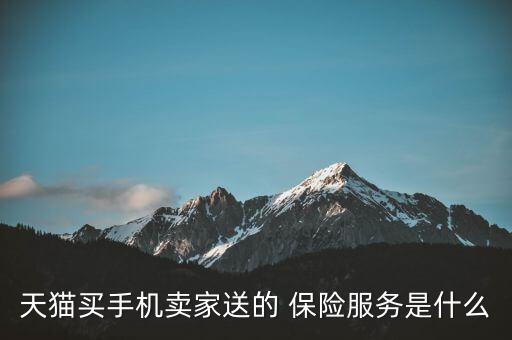 天貓保險服務(wù)是什么，淘寶里購物那個保險服務(wù)是什么