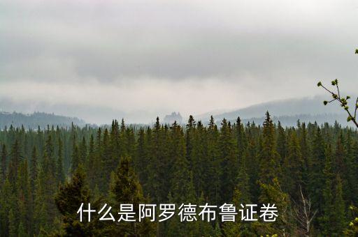 什么是阿羅德布魯證卷