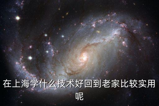 在上海學(xué)什么技術(shù)好回到老家比較實用呢