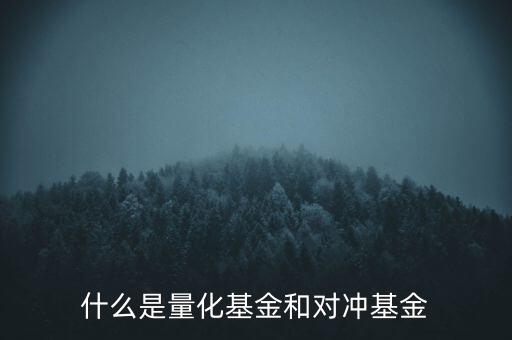 什么是量化基金和對(duì)沖基金