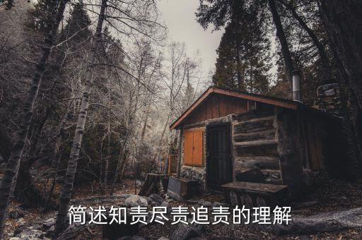 什么是追責(zé)，簡(jiǎn)述知責(zé)盡責(zé)追責(zé)的理解