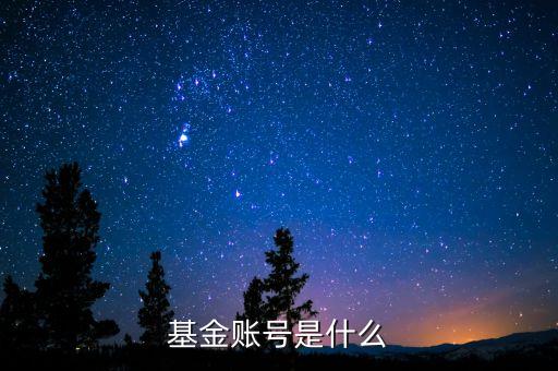 基金賬號是什么，什么是基金的交易賬號