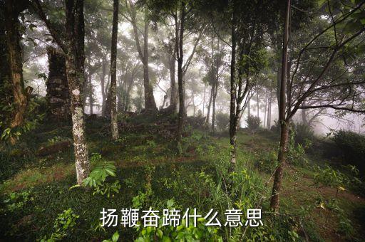 揚鞭奮蹄什么意思