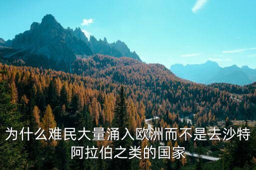 為什么會有歐洲難民潮，為什么歐洲國家發(fā)生難民潮
