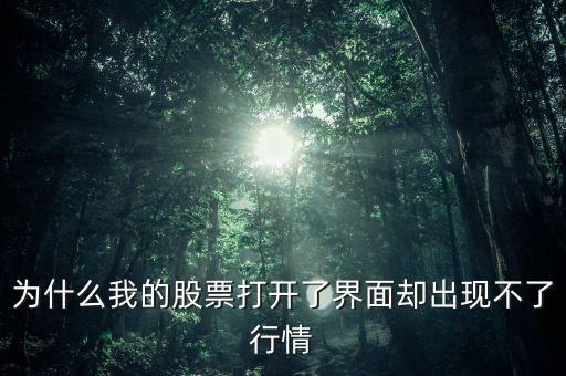為什么我的股票打開了界面卻出現(xiàn)不了行情