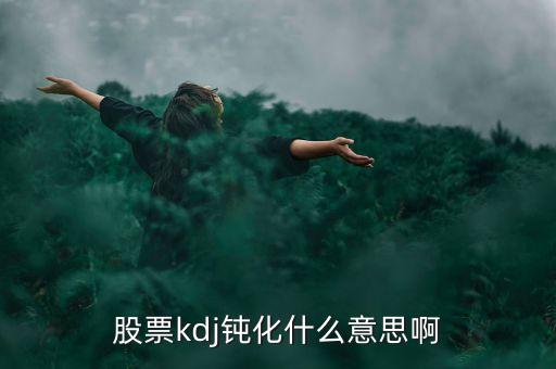 股票kdj鈍化什么意思啊