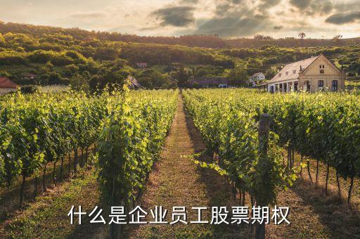 什么是企業(yè)員工股票期權(quán)