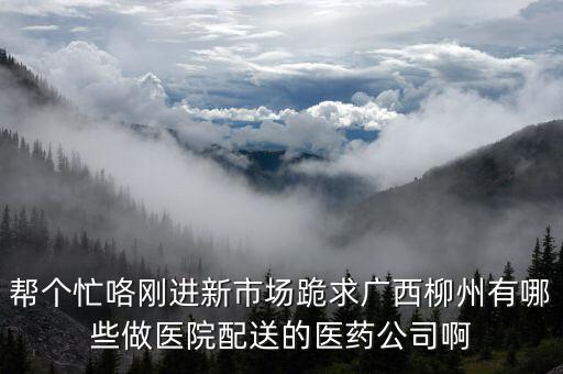 幫個忙咯剛進新市場跪求廣西柳州有哪些做醫(yī)院配送的醫(yī)藥公司啊