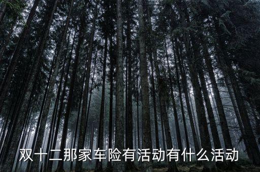 雙十二那家車險有活動有什么活動