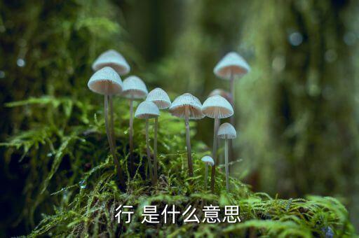 行 是什么意思
