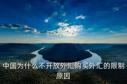 中國為什么不開放外匯購買外匯的限制原因