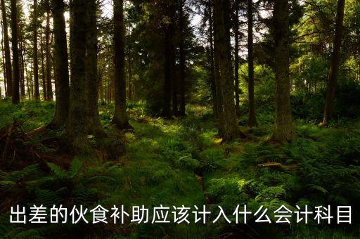 出差餐費(fèi)補(bǔ)貼計(jì)入什么科目，出差補(bǔ)貼計(jì)入什么科目
