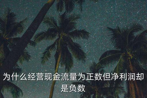現(xiàn)金流量為正數(shù)說明什么，1經營活動產生的現(xiàn)金流量為正數(shù)意味著企業(yè)A必然簡單再生產B