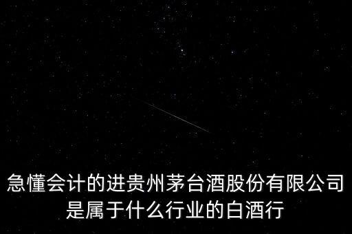 急懂會(huì)計(jì)的進(jìn)貴州茅臺(tái)酒股份有限公司是屬于什么行業(yè)的白酒行