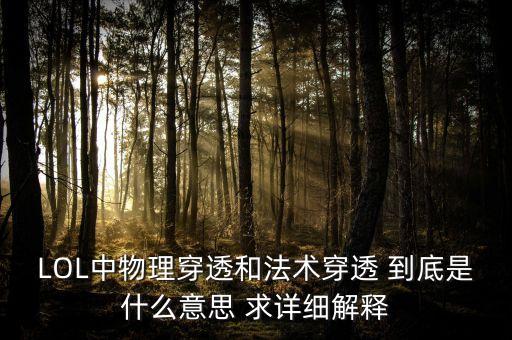 LOL中物理穿透和法術(shù)穿透 到底是什么意思 求詳細(xì)解釋