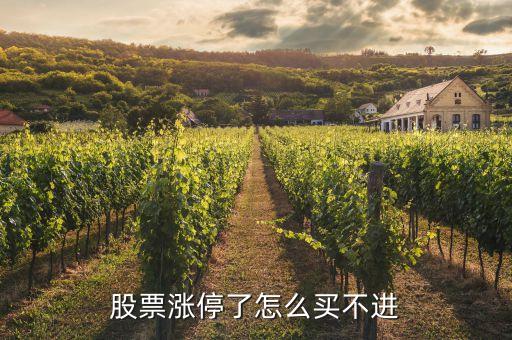 股票漲停了怎么買(mǎi)不進(jìn)