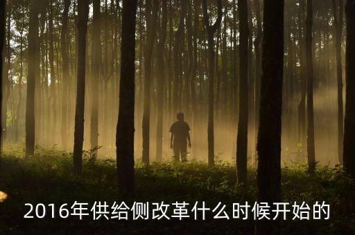 供給側(cè)改革什么時(shí)候提出來(lái)的，供給側(cè)結(jié)構(gòu)性改革是什么時(shí)候提出來(lái)的