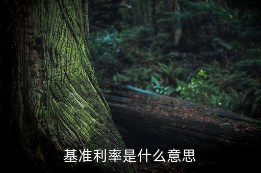 基準利率是什么意思