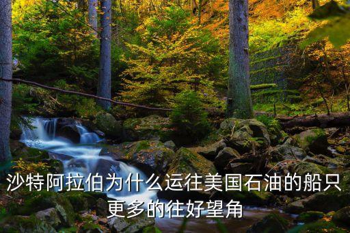 沙特國王的閘門是指什么，沙特國王到中國帶電體做什么