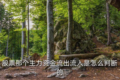 股票主力資金看什么線，股市場(chǎng)內(nèi)資金怎么看看什么指數(shù)
