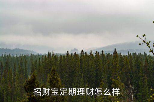 招財(cái)寶定期理財(cái)怎么樣