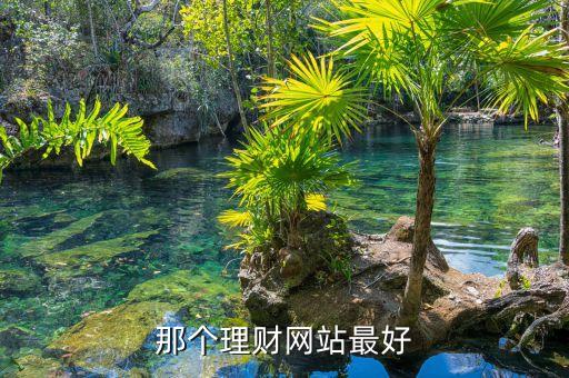 那個理財網(wǎng)站最好