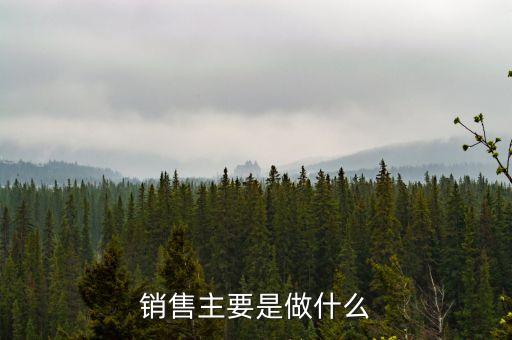 銷售主要是做什么