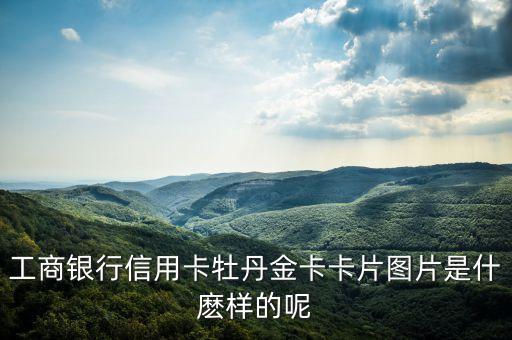工行金卡是什么樣的，工商銀行信用卡牡丹金卡卡片圖片是什麼樣的呢